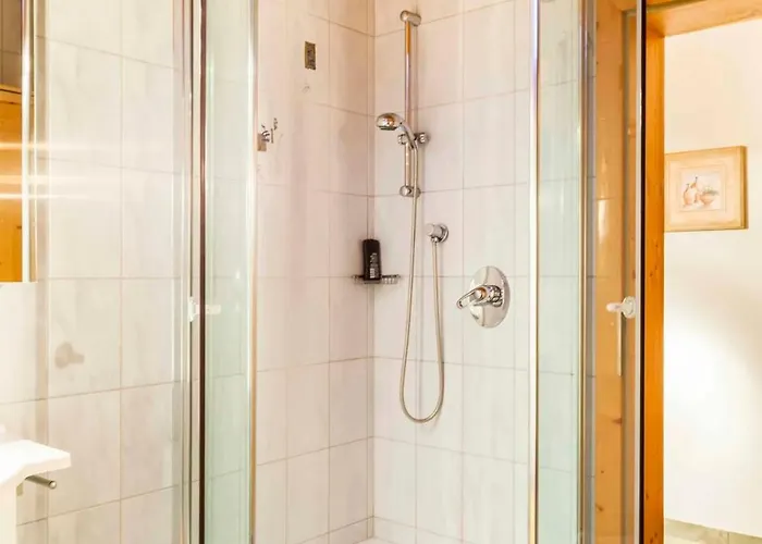 Oberdachebenhof Dienten 디엔텐암호크코니그