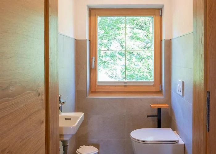 Oberdachebenhof Dienten 디엔텐암호크코니그